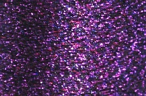 Colour purple petunia
